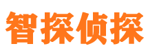 翁源调查事务所